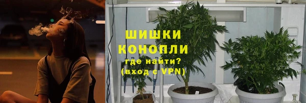 круглые Гусиноозёрск