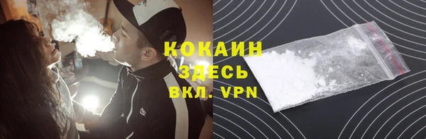 ГАЛЛЮЦИНОГЕННЫЕ ГРИБЫ Елабуга