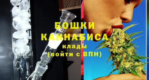 стафф Гусев