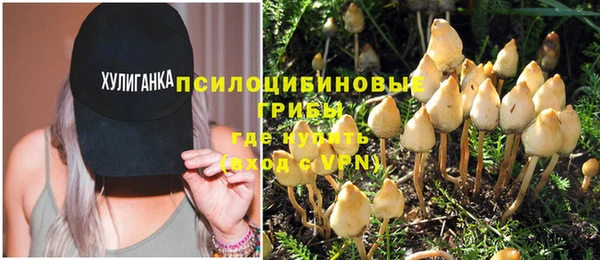PSILOCYBIN Дмитриев