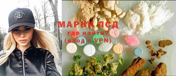 стафф Гусев