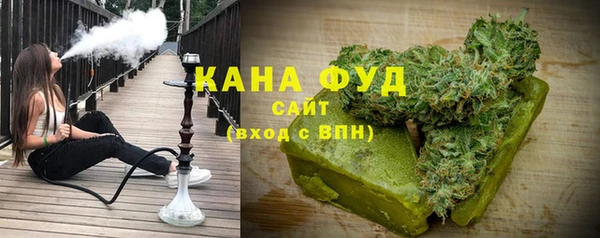 стафф Гусев