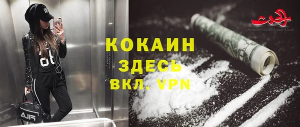 стафф Гусев