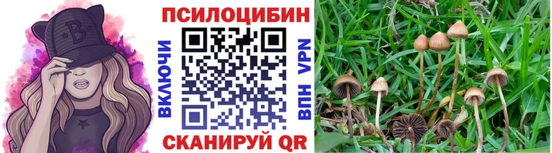 ОМГ ОМГ маркетплейс  Кашин  Галлюциногенные грибы мицелий 